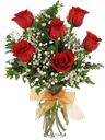 6 rose rosse