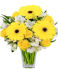 Bouquet fiori gialli e bianchi