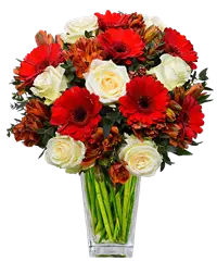 Bouquet di gerbere rosse